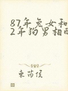 87年兔女和82年狗男相配婚姻如何