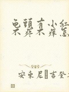 龟头有小红疙瘩不疼不痒怎么回事