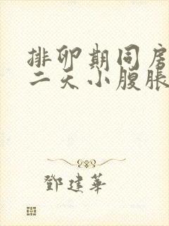 排卵期同房完第二天小腹胀痛