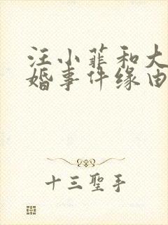 汪小菲和大s离婚事件缘由