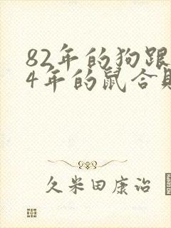 82年的狗跟84年的鼠合财吗