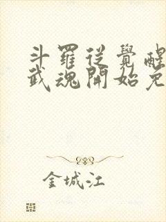 斗罗从觉醒朱雀武魂开始免费阅读