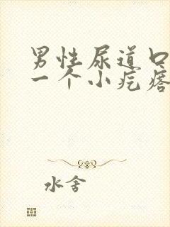 男性尿道口长了一个小疙瘩怎么回事