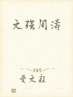 文强周涛