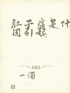 肚子痛是什么原因引起封面