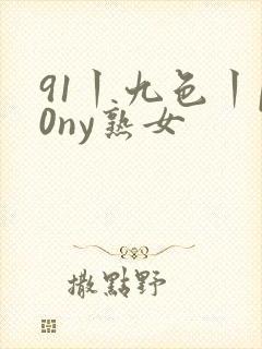 91丨九色丨p0ny熟女