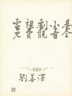 电视剧小巷人家免费观看全集高清封面