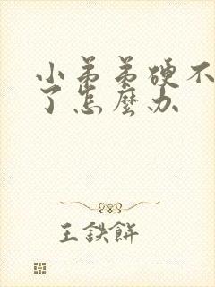 小弟弟硬不起来了怎么办