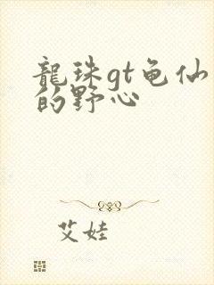 龙珠gt龟仙人的野心