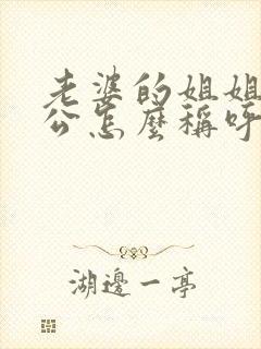 老婆的姐姐的老公怎么称呼