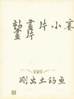 动画片小赛罗动画片