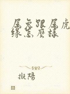 属兔跟属虎的姻缘怎么样