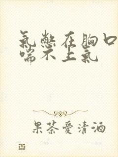 气憋在胸口堵的喘不上气