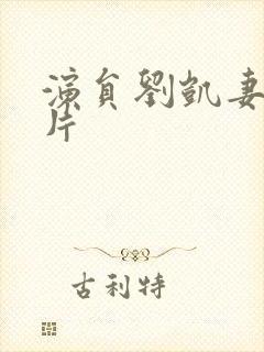 演员刘凯妻子照片