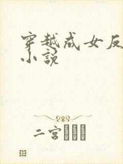 穿越成女反派的小说