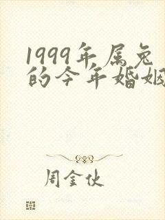 1999年属兔的今年婚姻怎么样封面