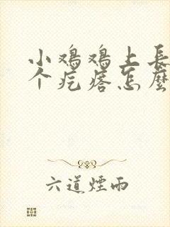 小鸡鸡上长了一个疙瘩怎么回事