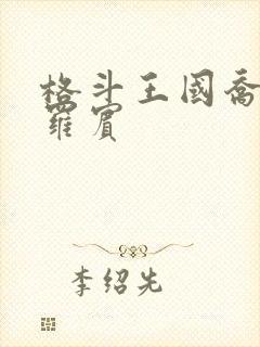 格斗王国乔巴和罗宾封面