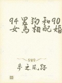94男狗和90女马相配婚姻如何