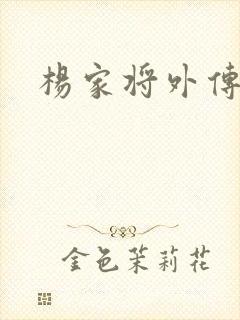 杨家将外传封面