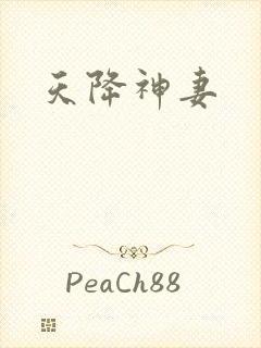 天降神妻