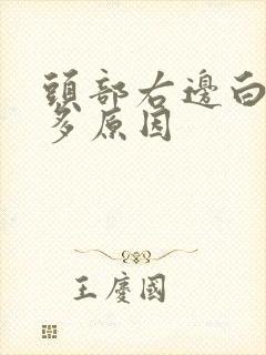 头部右边白头发多原因