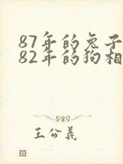 87年的兔子和82年的狗相配吗