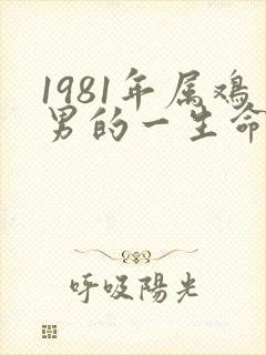 1981年属鸡男的一生命运