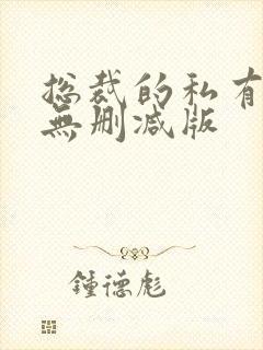 总裁的私有宝贝无删减版