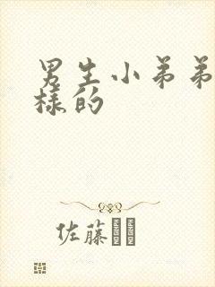 男生小弟弟怎么样的