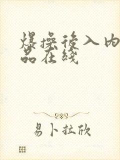 爆操后入内射精品在线