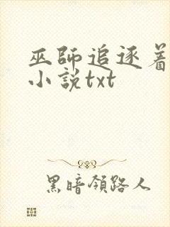 巫师追逐着真理小说txt