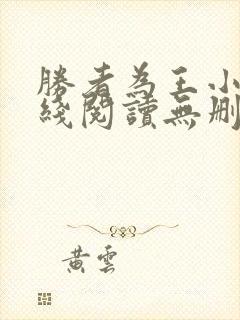 胜者为王小说在线阅读无删减封面