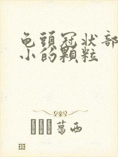 龟头冠状部有细小的颗粒封面