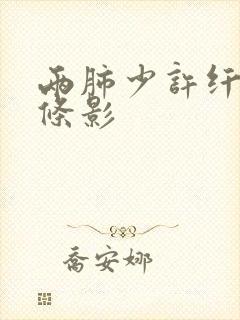 两肺少许纤维索条影