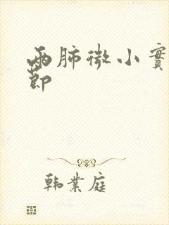 两肺微小实性结节