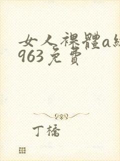 女人裸体a级1963免费