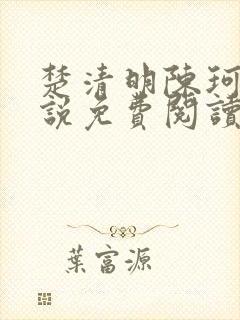 楚清明陈珂言小说免费阅读全文