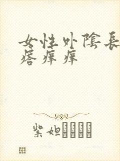 女性外阴长小疙瘩痒痒