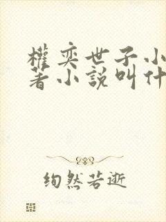 权奕世子小说原著小说叫什么名字啊封面