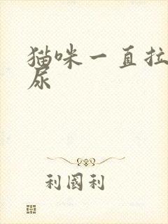 猫咪一直拉不出尿