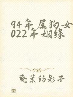 94年属狗女2022年姻缘封面