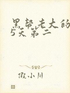 黑帮老大的365天第二