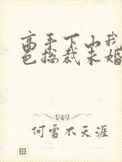 高手下山我的绝色总裁未婚妻