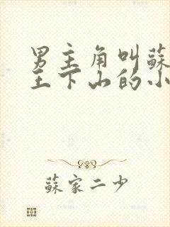 男主角叫苏文阎王下山的小说封面