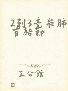 2到3毫米肺部有结节