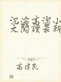 沉沦高洁小说全文阅读最新章节更新