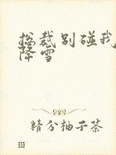 总裁别碰我 韩降雪封面