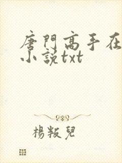 唐门高手在异世小说txt