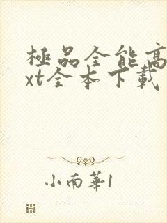 极品全能高手txt全本下载封面